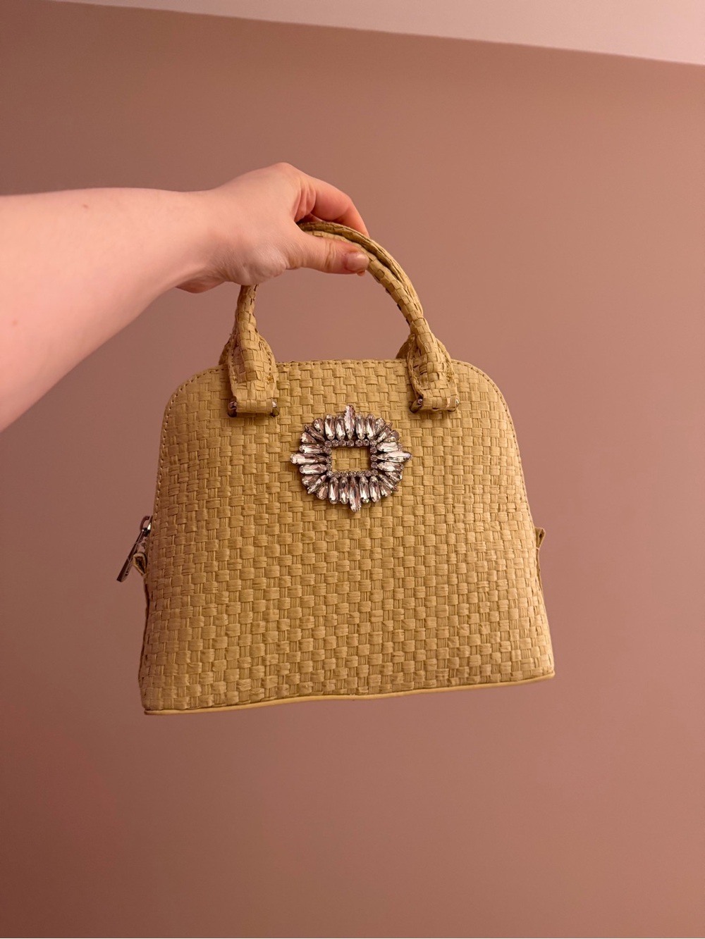 Brand New/Never Worn Zara Purse
